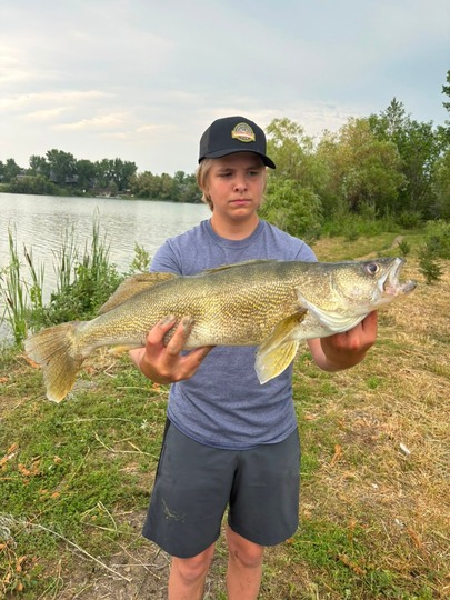 Walleye