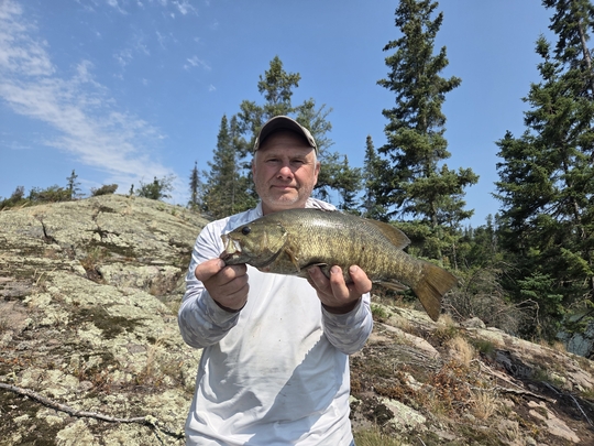 Smallmouth Bass