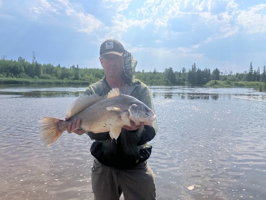 Freshwater Drum