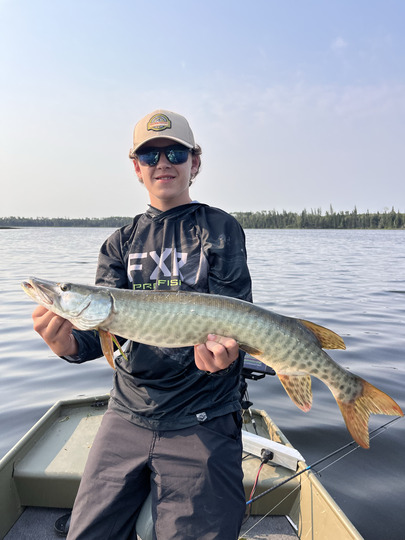 Muskellunge