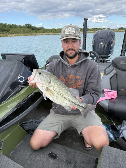 Largemouth Bass