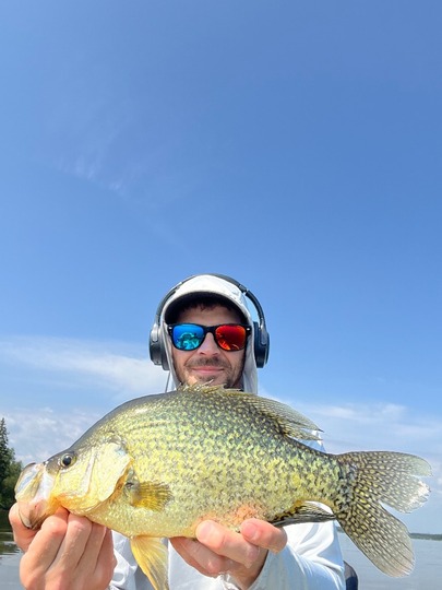 Black Crappie