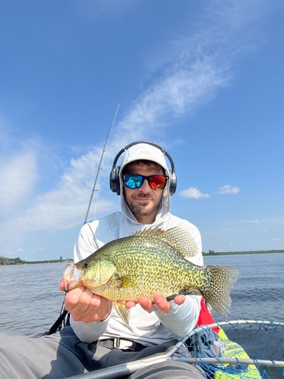 Black Crappie