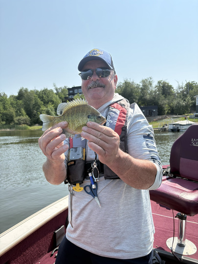 Sunfish