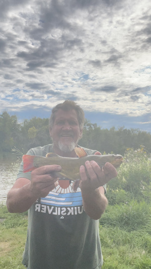 Bullhead