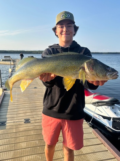Walleye