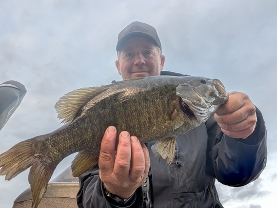 Smallmouth Bass