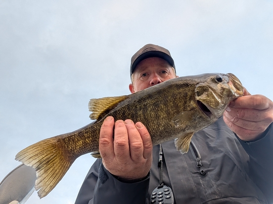 Smallmouth Bass