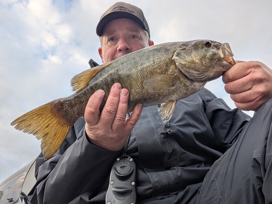Smallmouth Bass