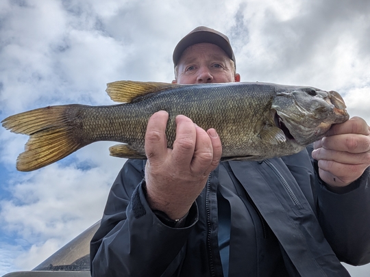 Smallmouth Bass