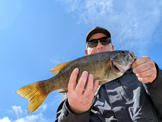 Smallmouth Bass