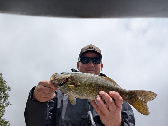 Smallmouth Bass