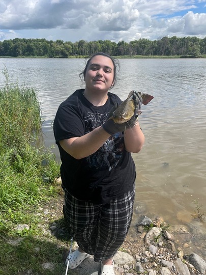 Bullhead
