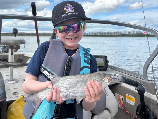 Goldeye