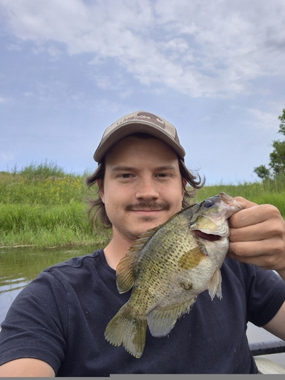 Rock Bass