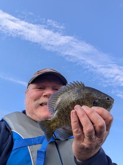 Sunfish