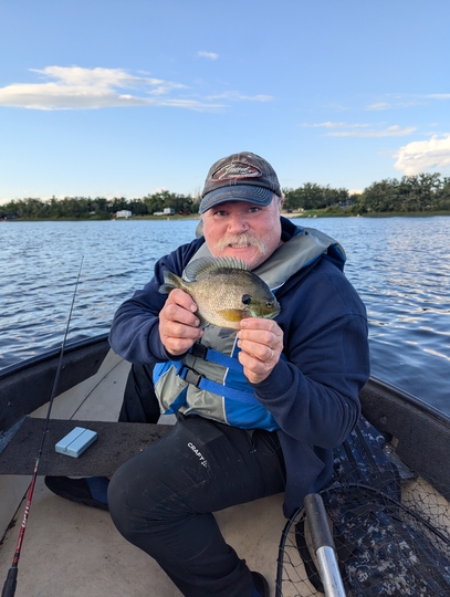 Sunfish