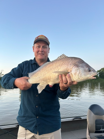 Freshwater Drum
