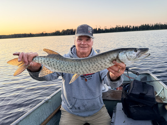 Muskellunge