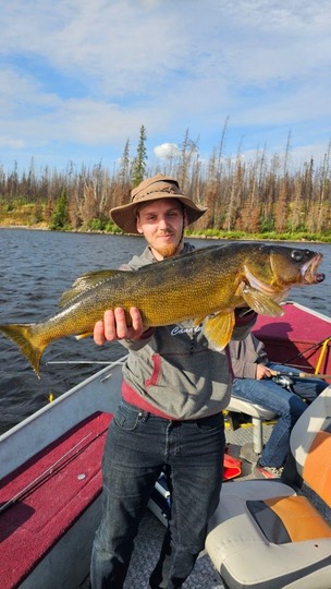 Walleye