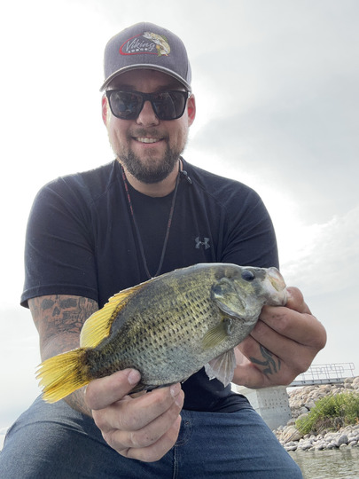 Rock Bass
