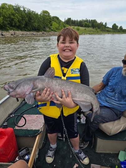 Channel Catfish