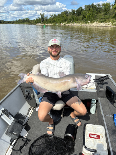 Channel Catfish