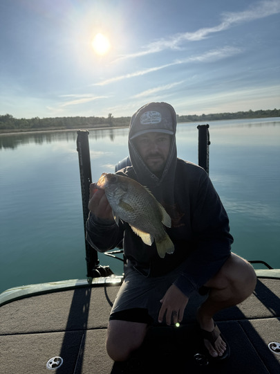 Rock Bass