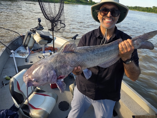 Channel Catfish
