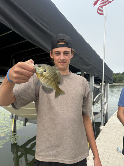 Sunfish