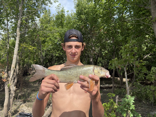 Sucker
