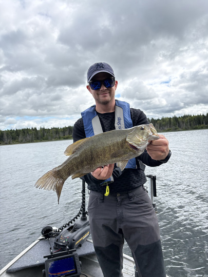 Smallmouth Bass