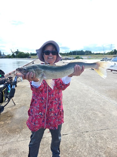 Walleye