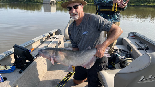 Channel Catfish