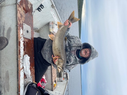 Lake Trout
