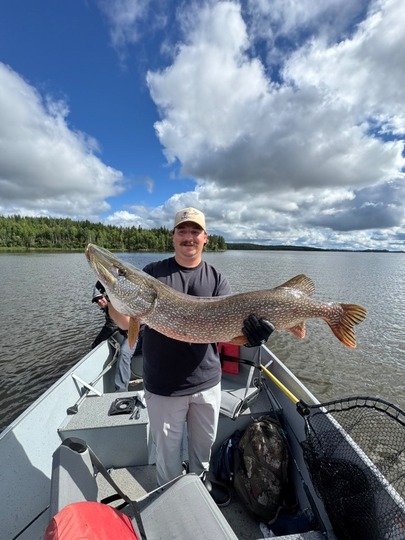 Northern Pike