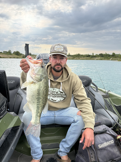 Largemouth Bass