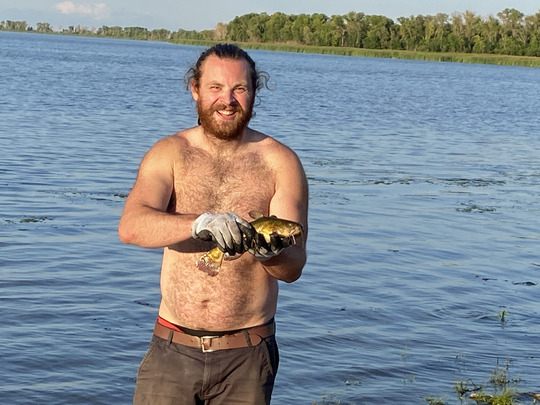 Bullhead