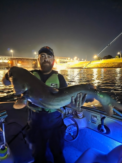 Channel Catfish