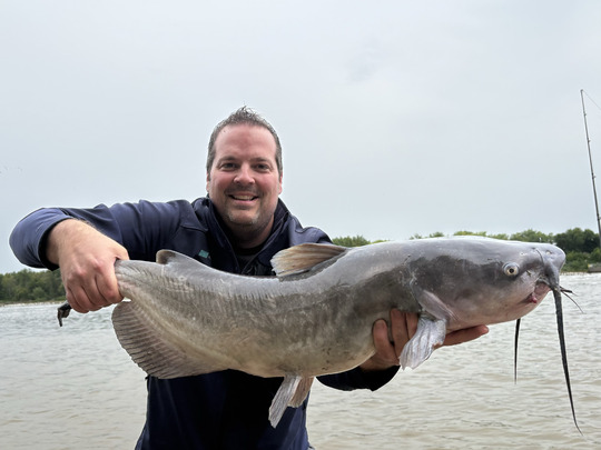 Channel Catfish