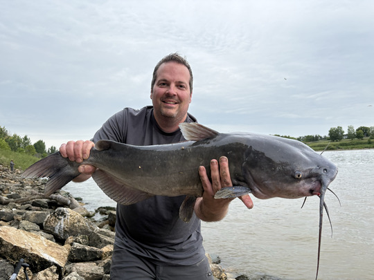Channel Catfish