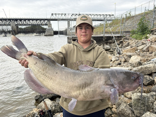 Channel Catfish
