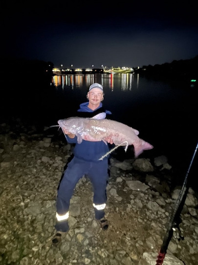 Channel Catfish