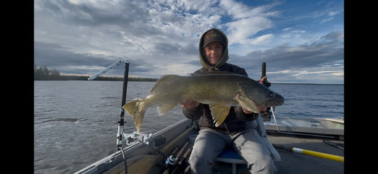 Walleye