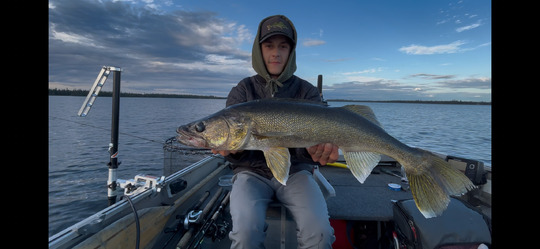 Walleye