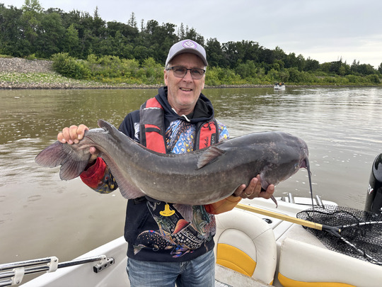 Channel Catfish