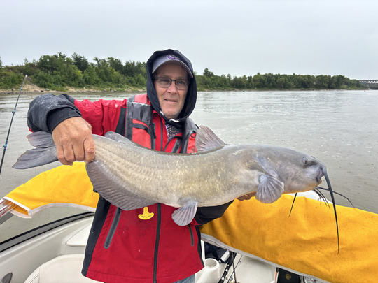 Channel Catfish