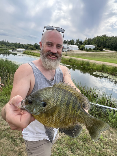 Sunfish