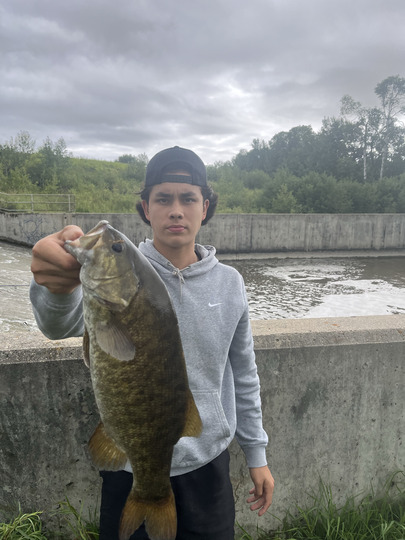 Smallmouth Bass