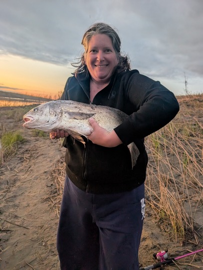 Freshwater Drum